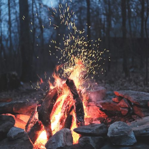 timothy-meinberg-xqV9QdGOSas-unsplash